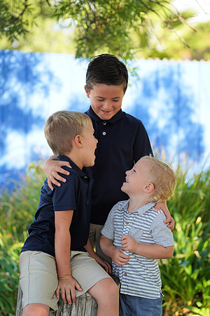 BUDDY SHEPHERD (2)